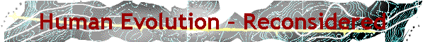 Human Evolution � Reconsidered
